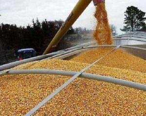 Росія відправила в Ліван вкрадену українську кукурудзу