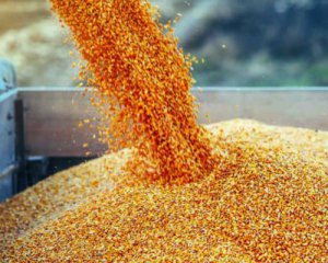 Скільки зерна Росія вкрала в Україні ‒ у США назвали цифру