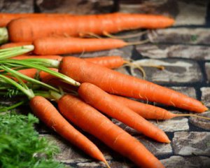 В Украине продолжает падать цена на морковь: аналитики назвали причину