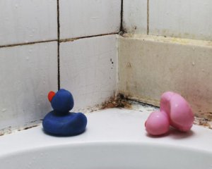 Как избавиться от плесени в ванной: уникальное средство
