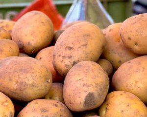 В Україні дешевшає картопля ‒ експерт зробив прогноз