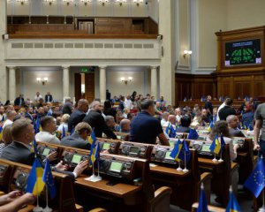 Рада підтримала відкриті декларації після вето Зеленського