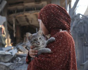 В ООН поразили данными о количестве беженцев в Секторе Газа