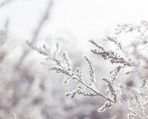 Ждать ли снег на Новый год: синоптик дала прогноз