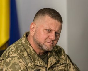 Йшлося не про &quot;глухий кут&quot;: в ISW проаналізували резонансну статтю Залужного