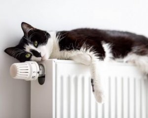 Чому батарея зверху гаряча, а знизу холодна: причини та способи вирішення