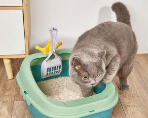 Що додати у лоток кота, щоб позбутись неприємних запахів: цей засіб є на кожній кухні