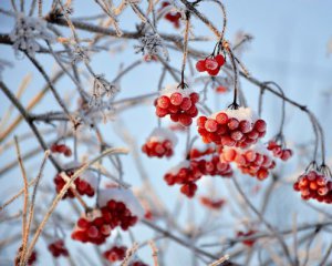 Морози до -23°С: українців попередили про погіршення погоди