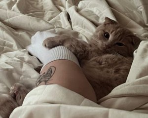 Чому коти обожнюють спати в ногах господарів: шість причин