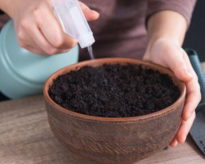Как легко высевать мелкие семена - интересный лайфхак