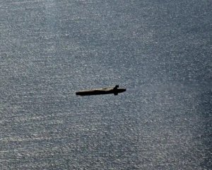 Немецкий депутат объяснил, почему в стране отклоняют поставки ракет Taurus в Украину