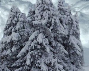 У Карпатах зійшли три снігові лавини. Що кажуть рятувальники