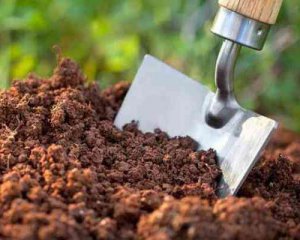 Как и чем подкармливать почву весной - советы огородникам