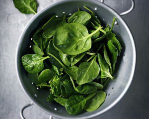 Яку зелень треба їсти жінкам та чоловікам - суперфуд для щоденного меню