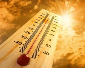 Февраль 2024 стал самым теплым за всю историю наблюдений: ученые назвали причину