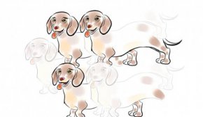 Сколько собак видите на картинке: тест, который покажет ваш психологический возраст