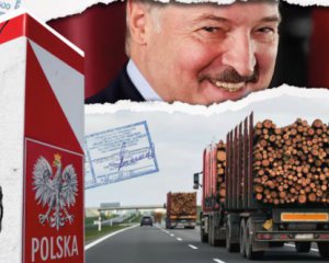 Польща пропускає до ЄС підсанкційну деревину з Білорусі за фальшивими документами - ЗМІ