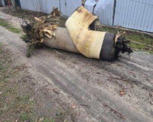 У Повітряних силах розкрили подробиці збивання "Цирконів"
