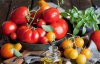 Каких болезней удастся избежать, если регулярно есть помидоры