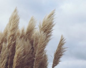 "Не поспішайте мити вікна пару днів" - повідомили про погоду на завтра