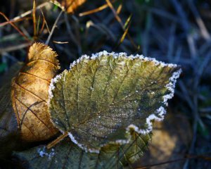 Перепады от -3℃ до +20℃: обновили прогноз до конца недели