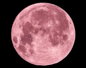 Рожевий місяць у квітні: коли особлива повня і що треба зробити у цей день