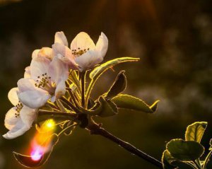 Следите за погодой: день укажет, какими будут первые дни мая