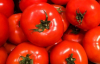 В Украине заметно снизилась цена на помидоры: аналитики назвали причину