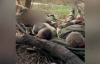 Украинские пограничники захватили в плен группу россиян в Донецкой области: видео