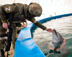 Як росіяни використовують бойових дельфінів: у ВМС пояснили