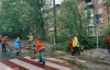 Повалені дерева, підтоплені вулиці та пошкодженні авто: показали наслідки негоди в Києві