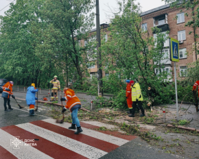 Поваленные деревья, подтопленные улицы и поврежденные автомобили: показали последствия непогоды в Киеве