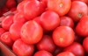 В Украине дешевеют помидоры - новые цены