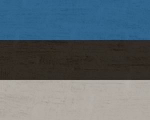 В Эстонии сказали, будут ли высылать украинских мужчин с просроченным паспортом