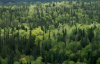 АДПУ и УАМ организовали общий вебинар о регламенте ЕС по обезлесиванию при экспорте продукции (EUDR)