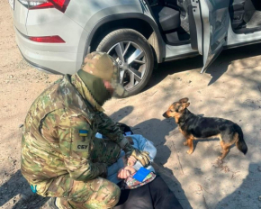 Предатель шпионил за позициями ВСУ под видом прогулок с собакой