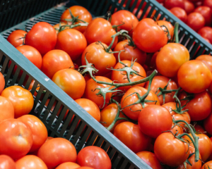 В Украине дешевеют помидоры - эксперты назвали причины