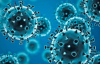 Ученые создали вакцину против разных видов коронавируса