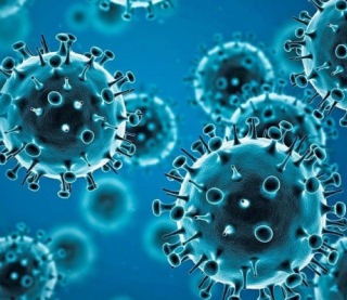 Науковці створили вакцину проти різних видів коронавірусу