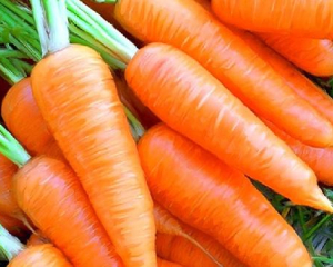 Морква виросте великою та смачною: рецепт натурального добрива