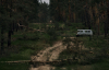 Через російські обстріли в Серебрянському лісі майже не залишилося тварин: військові показали відео