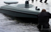 В ГУР назвали наиболее эффективное средство уничтожения флота РФ