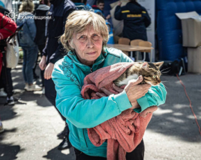 В Харьковской ОВА рассказали, как проходит эвакуация населения в районе Волчанска