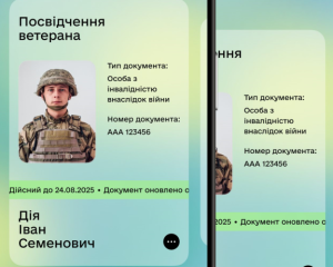 У "Дії" з'явиться посвідчення ветерана