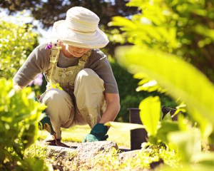 Коли і що садити в червні: найсприятливіші дні за місячним посівним календарем