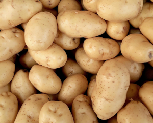 В Україні подорожчала картопля