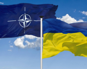 Парламентська асамблея НАТО закликала уряди дозволити Україні атакувати російську територію