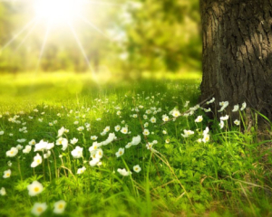 Чи чекати у червні спеки - прогноз синоптиків