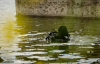 Трагедия на Хмельнитчине: в пруду утонули двое подростков
