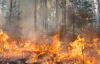 В Росії масштабні лісові пожежі: в двох регіонах оголосили надзвичайну ситуацію